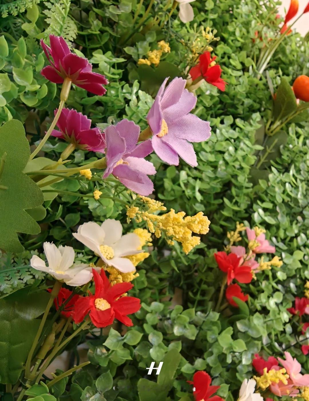 旅途偶遇这片缤纷花墙✨OPPO原相机直出，色彩鲜活，把温柔景致好好留存。OPPO