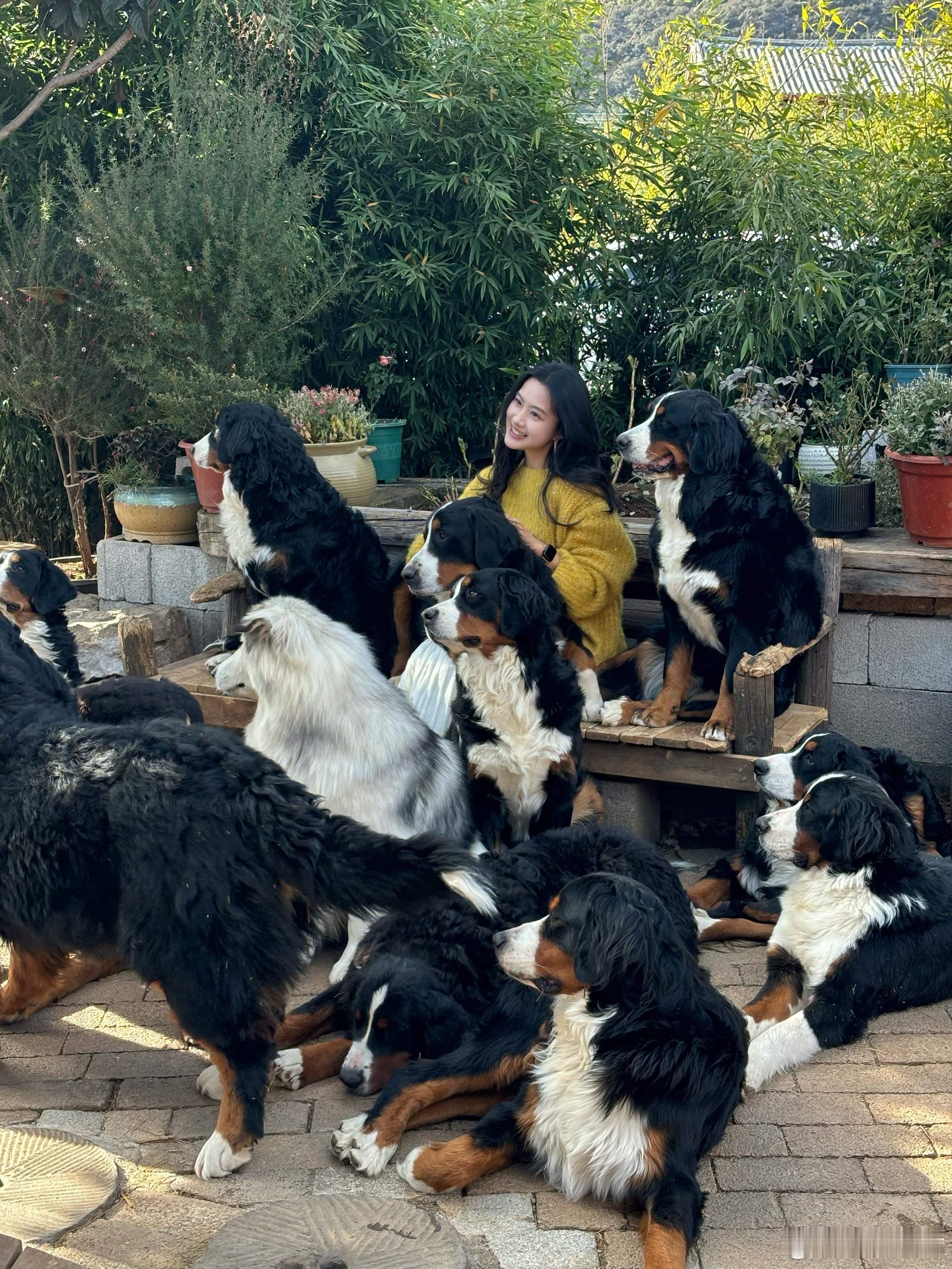 有多幸福 不说了 丽江·大树狗咖咖啡屋