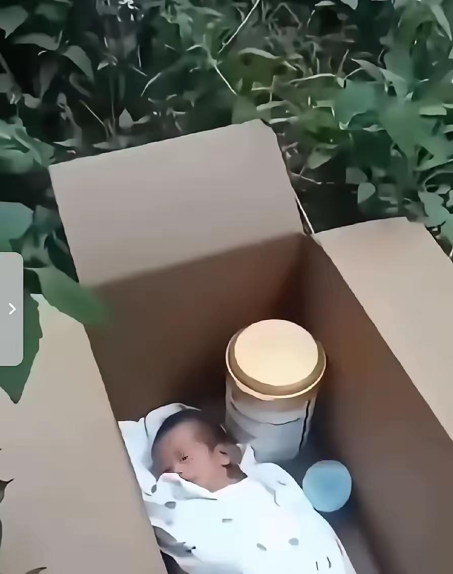 心都揪紧了！南京江宁路边的纸箱里，藏着最让人心疼的小生命！
 
早高峰的车流快盖