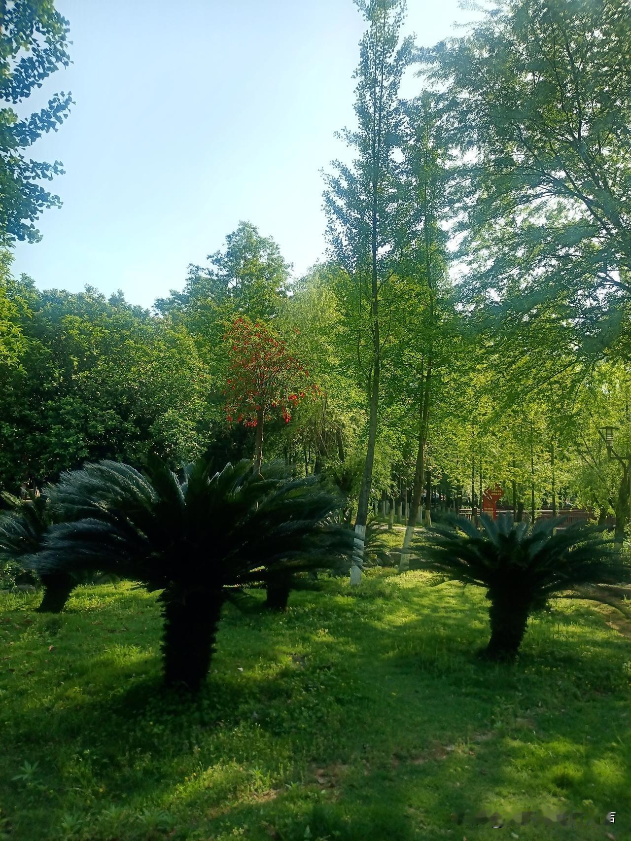 炒股确实是一场修行，特别需要自律，正心正念，不能贪心！

很多人进股市想“赚快钱