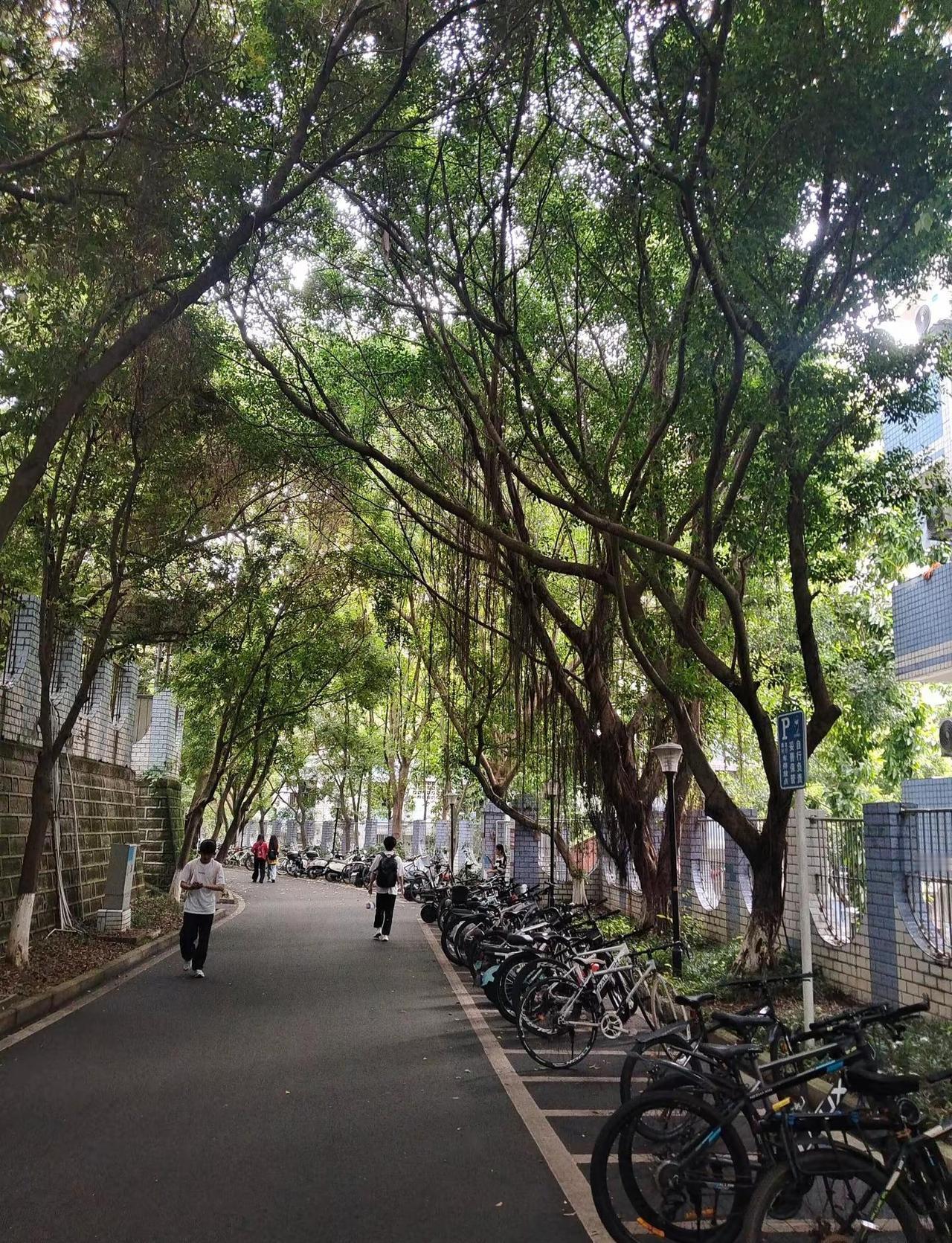 泸州 你咋这么热