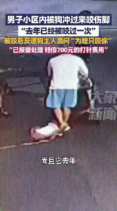 养狗不栓绳必须重罚！安徽马鞍山李先生遛狗，自己两条狗都拴着绳，结果被邻居没拴绳的