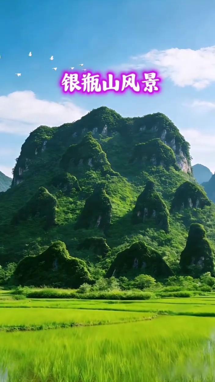 银瓶山风景。