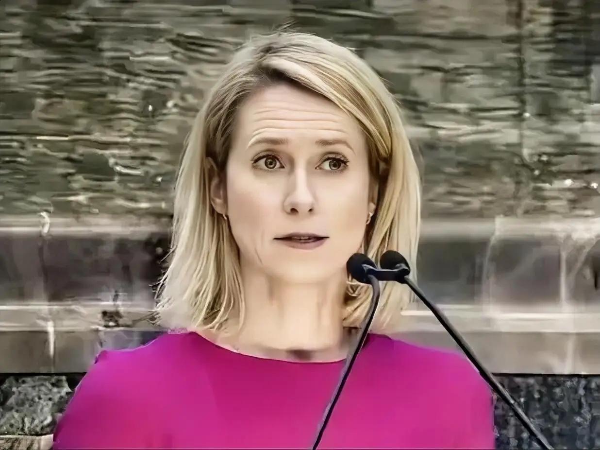 欧盟外长在联合国的发言，只字不提美国和以色列，却11次提及俄罗斯，甚至称俄罗斯希