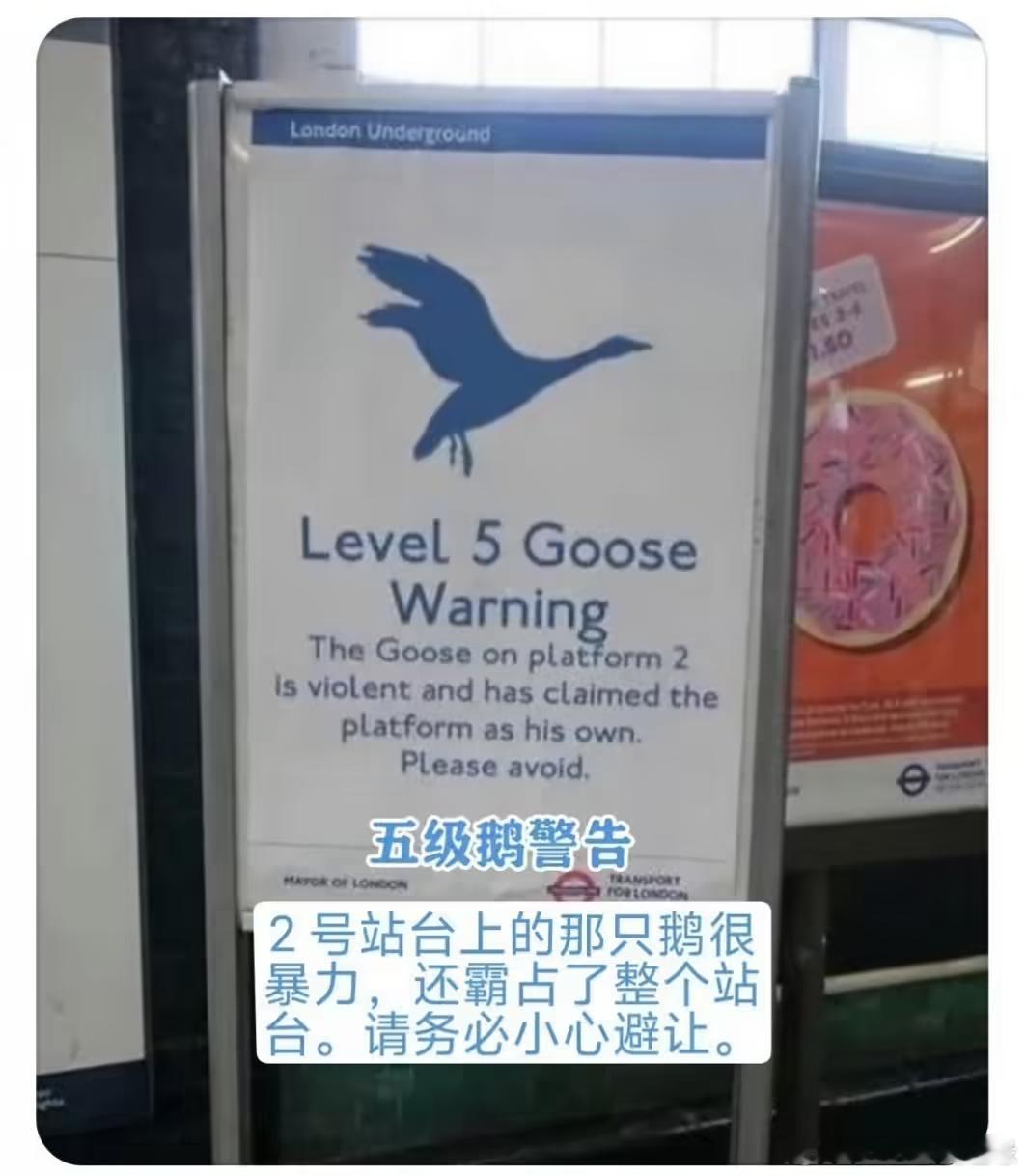 危害性🫣🫣🫣 ​​​