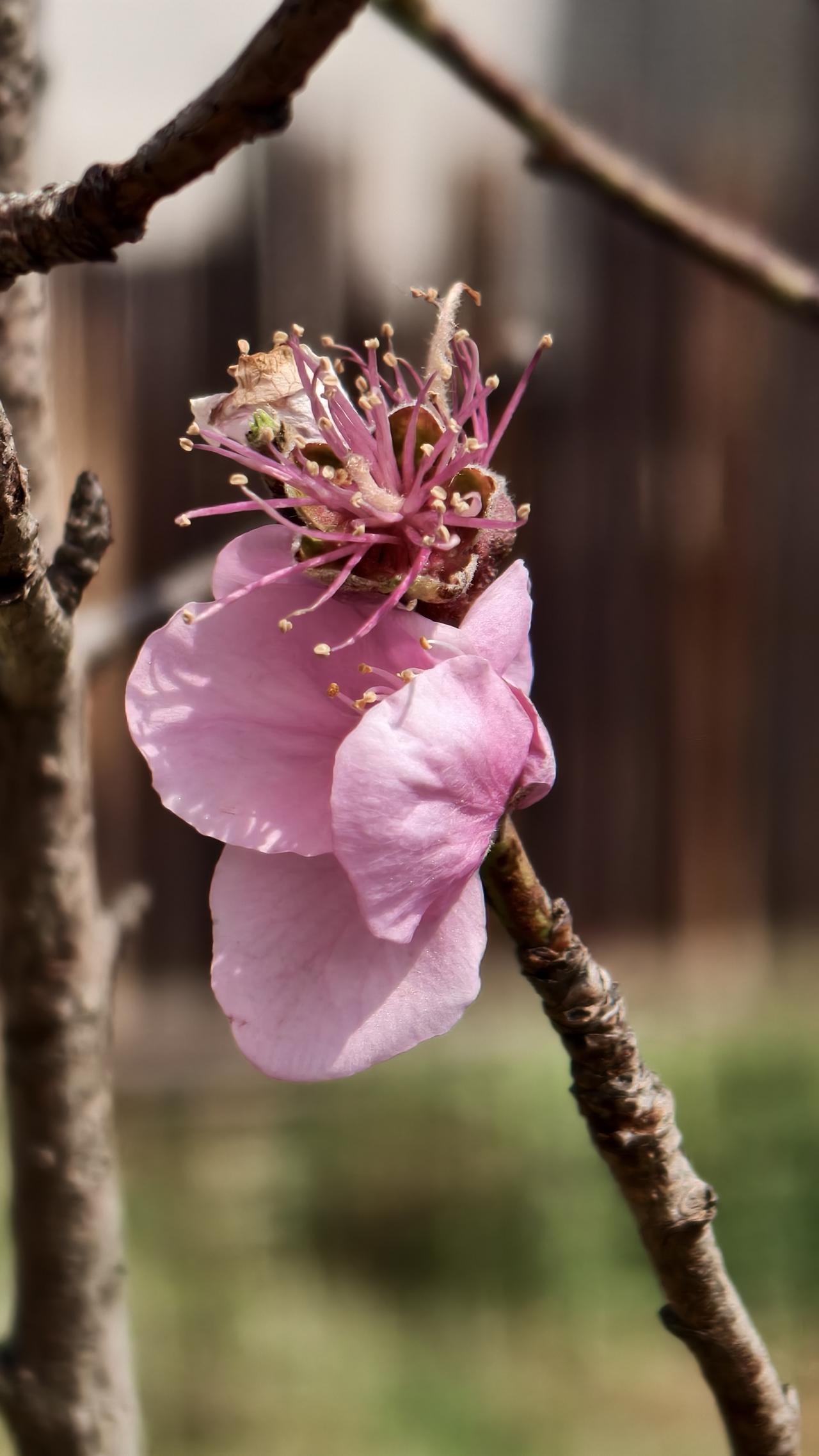 分享一下你随手拍下的照片随手拍风景照片