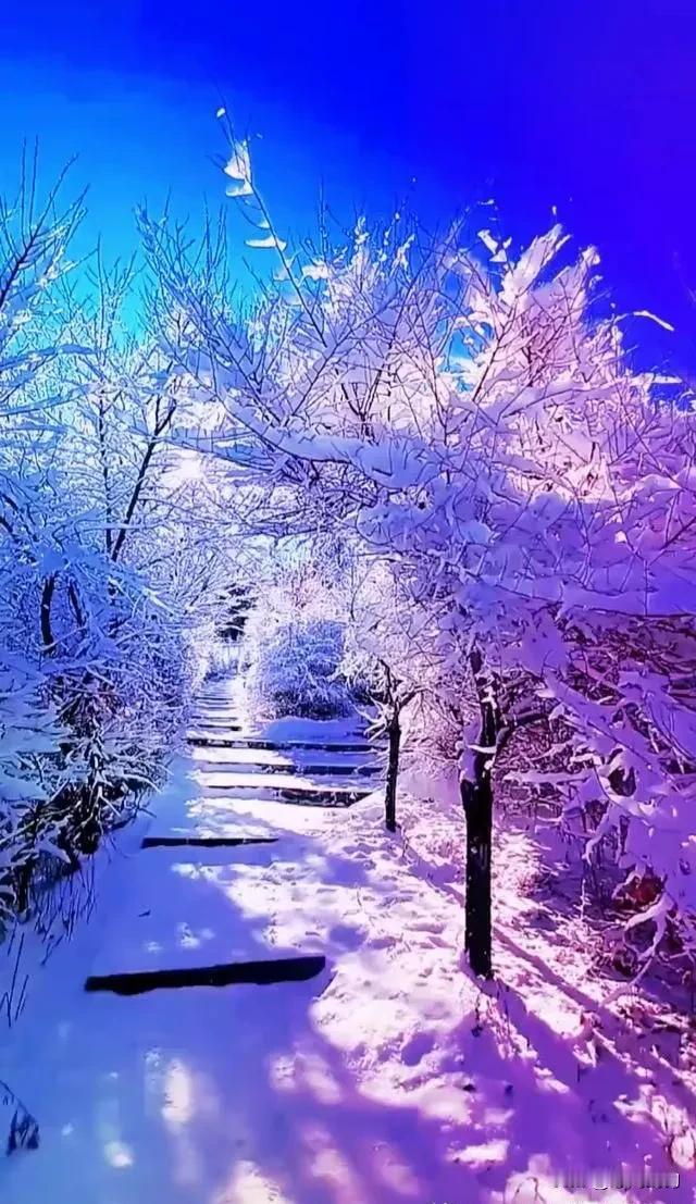 雪花纷飞，冰天雪地。恬静生活的真谛在于随心而动，随遇而安。在纷繁的世界中，保持内