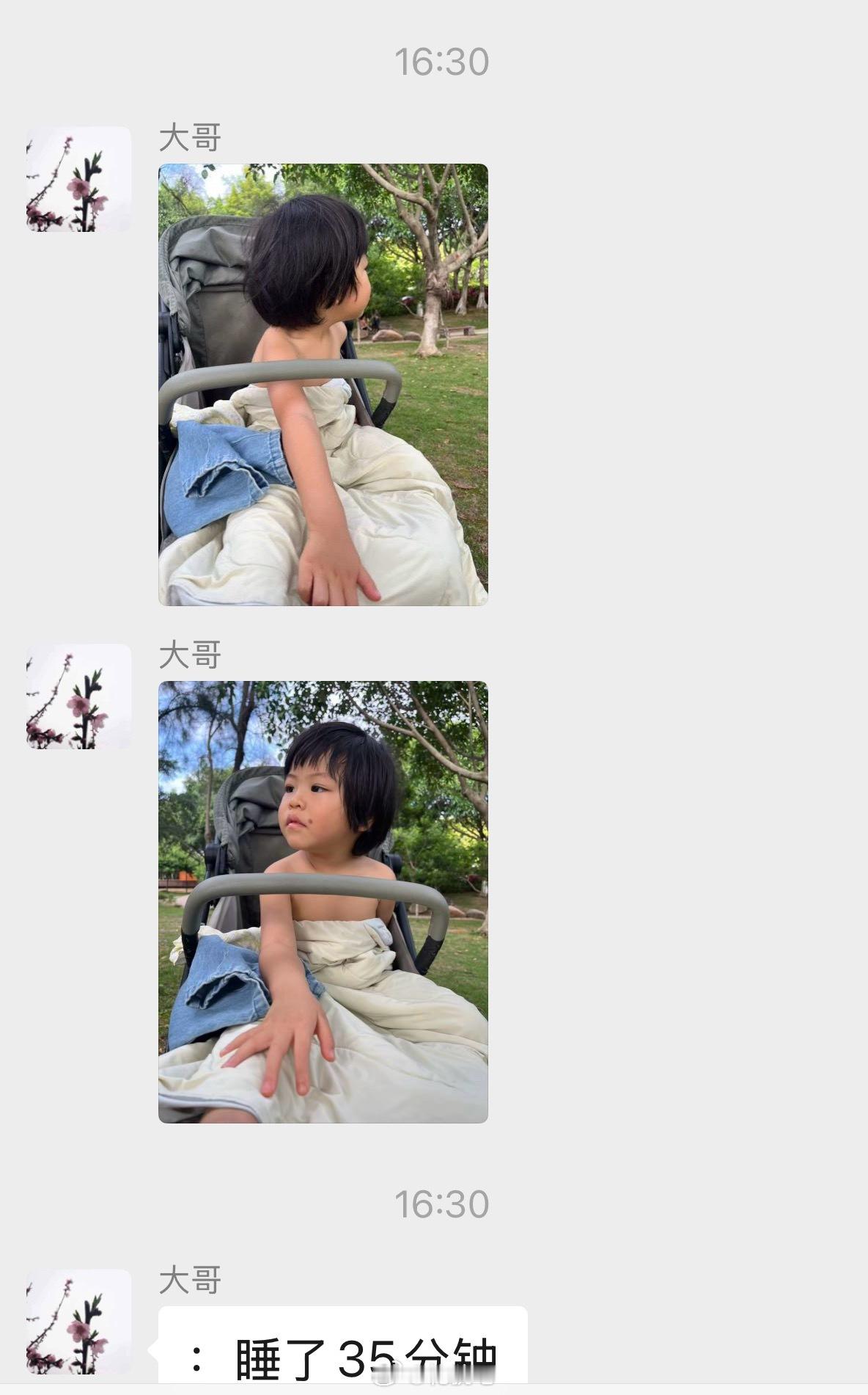 出门放电了今天又是傍晚睡了半小时 