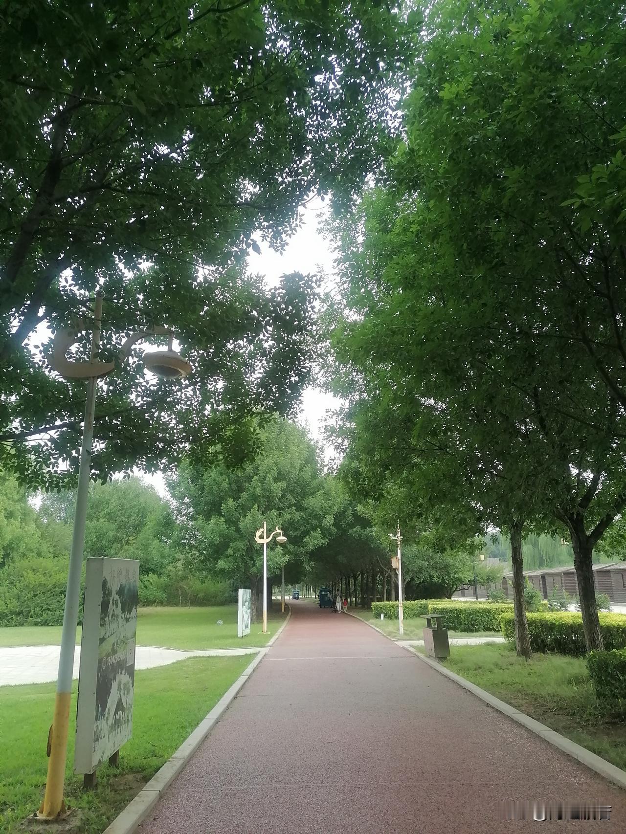 这艾草太香了呀！喜欢这个味道，摘一把放包里，手里又拿着一把，连身上都是香香的，回