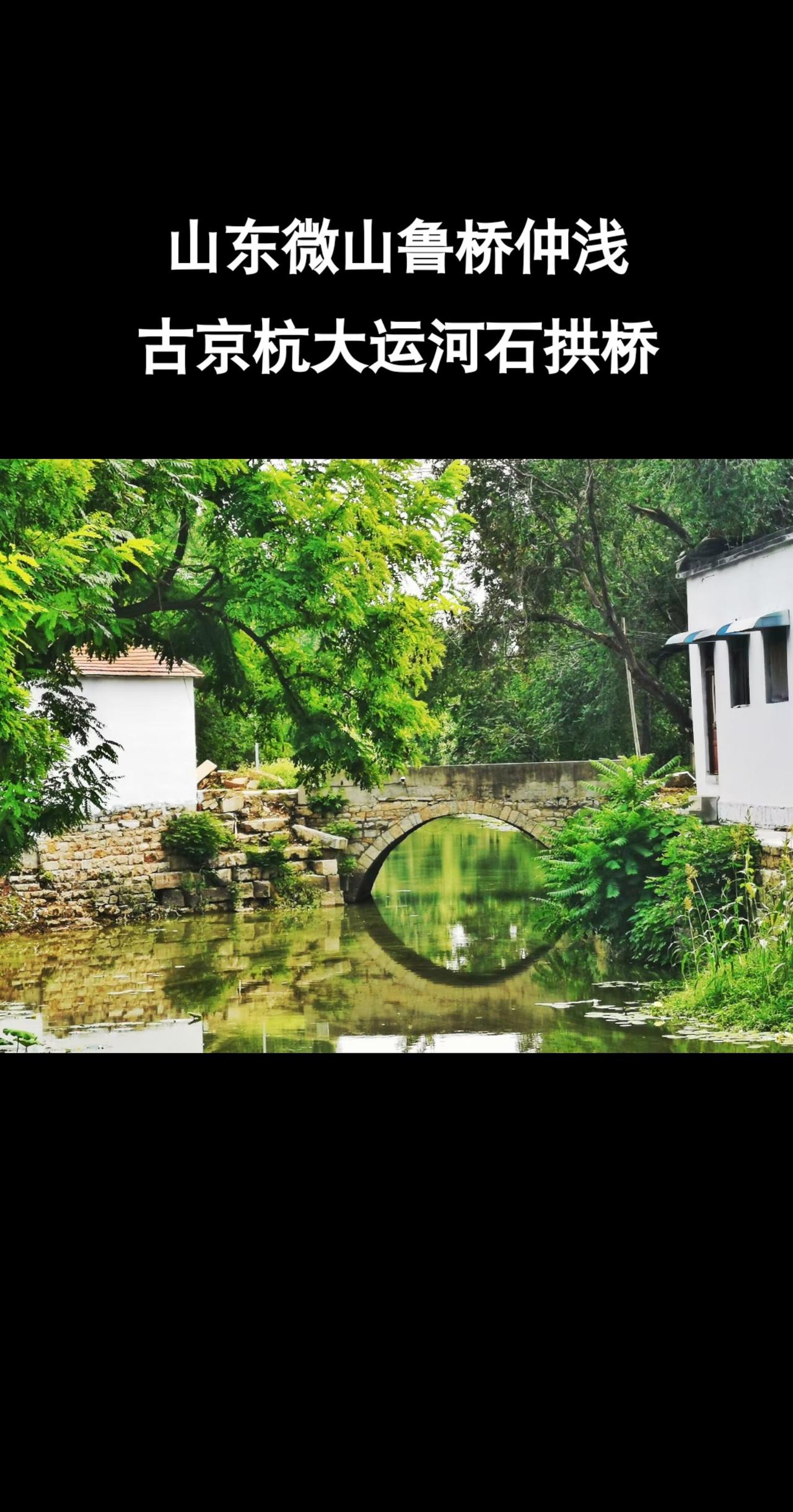 #山东#微山#老家#宁阳#运河