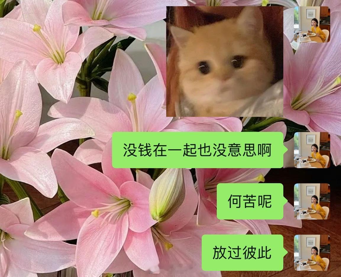 没钱不要谈爱不爱的，自己肚子都填不饱了何苦呢，虽然很残酷 