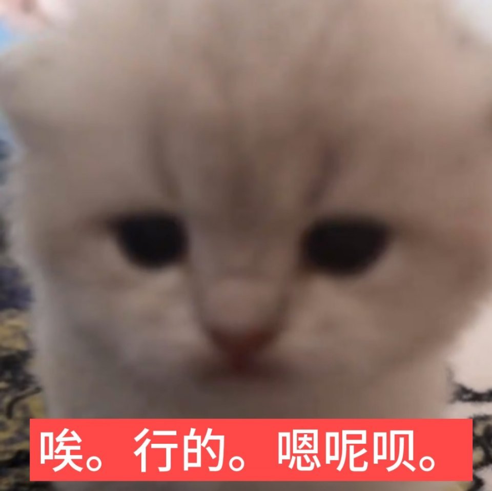 今晚的小妮子讲话就像巧克力，正常人听了很爽，狗听了… 