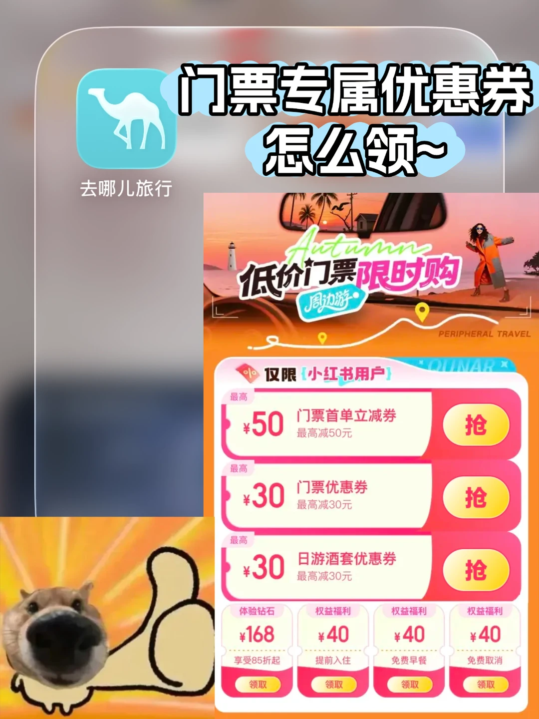 五一出游省钱攻略🔥门票优惠券速码！