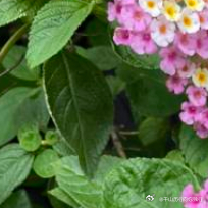 每日一善每日一善‎阳光‎信用 🌞极好784，均🉑蹭🉑转与优质用户保持良好的