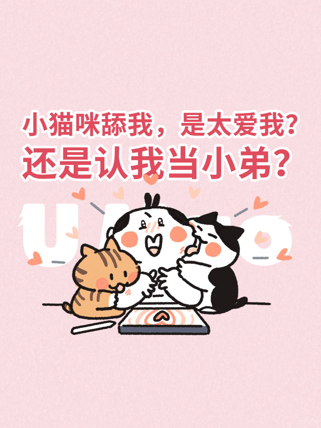 小猫咪舔我，是太爱我？还是要收我当小弟？