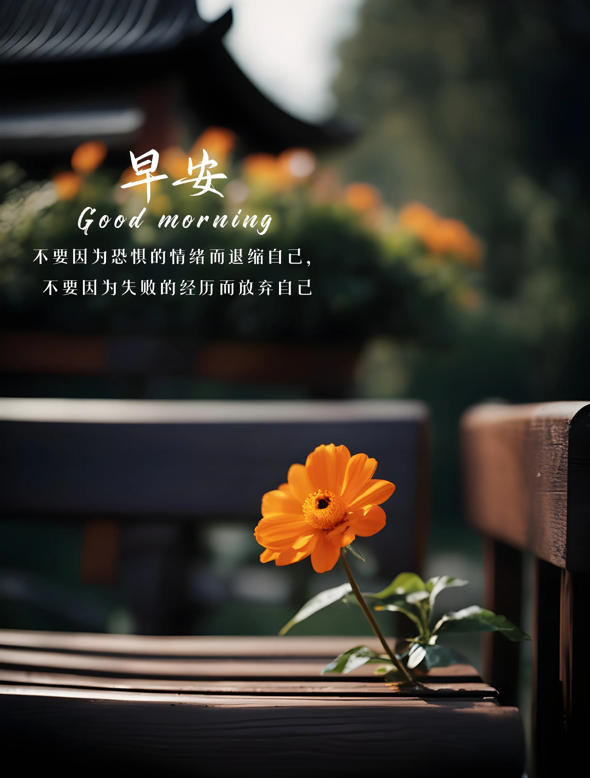 早安早安天气早安心语 愿多喜乐少烦扰，早安呐 