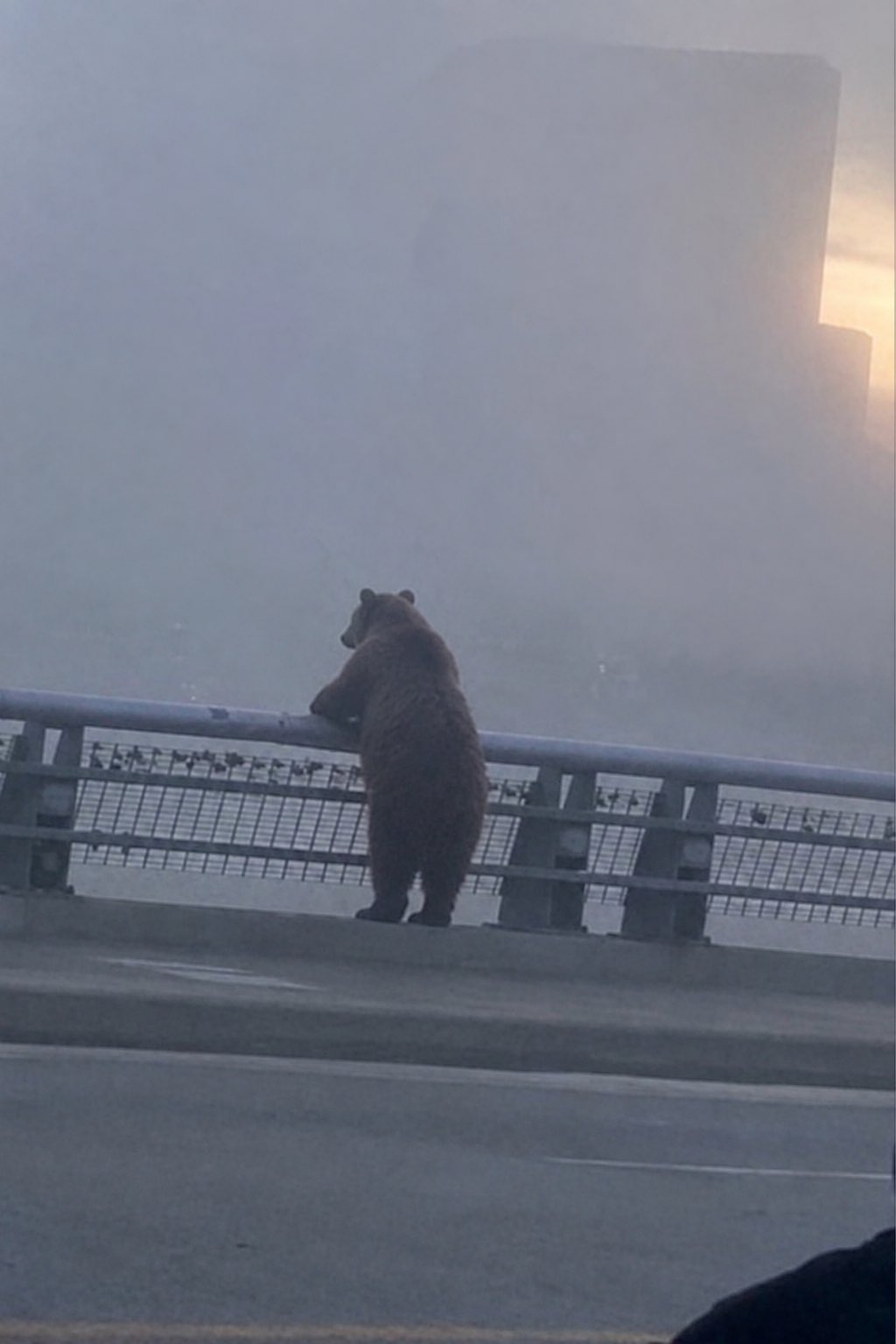 你说，谁的压力又不大呢 ​​​