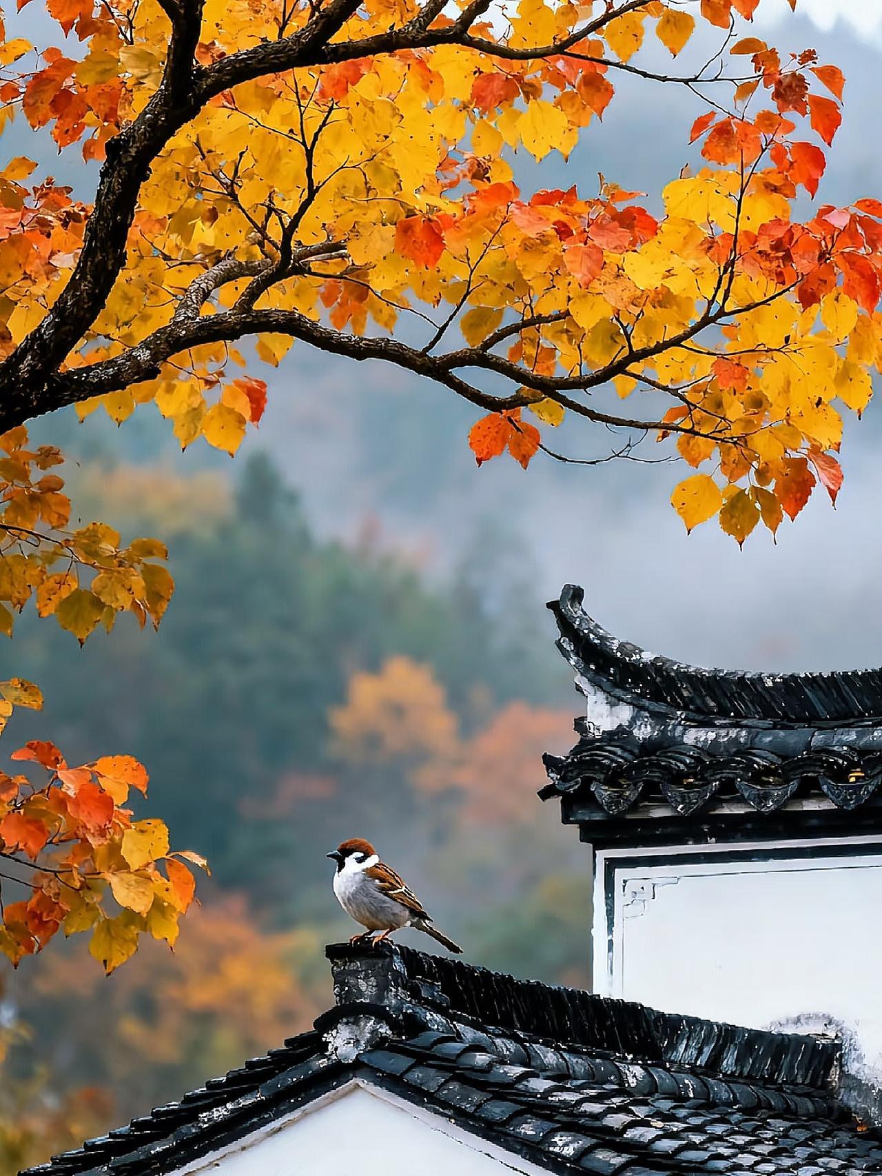 一件衣服的价格，真能决定一个家庭的锅碗瓢盆吗？答案是肯定的。
老辈人常讲，衣暖饭