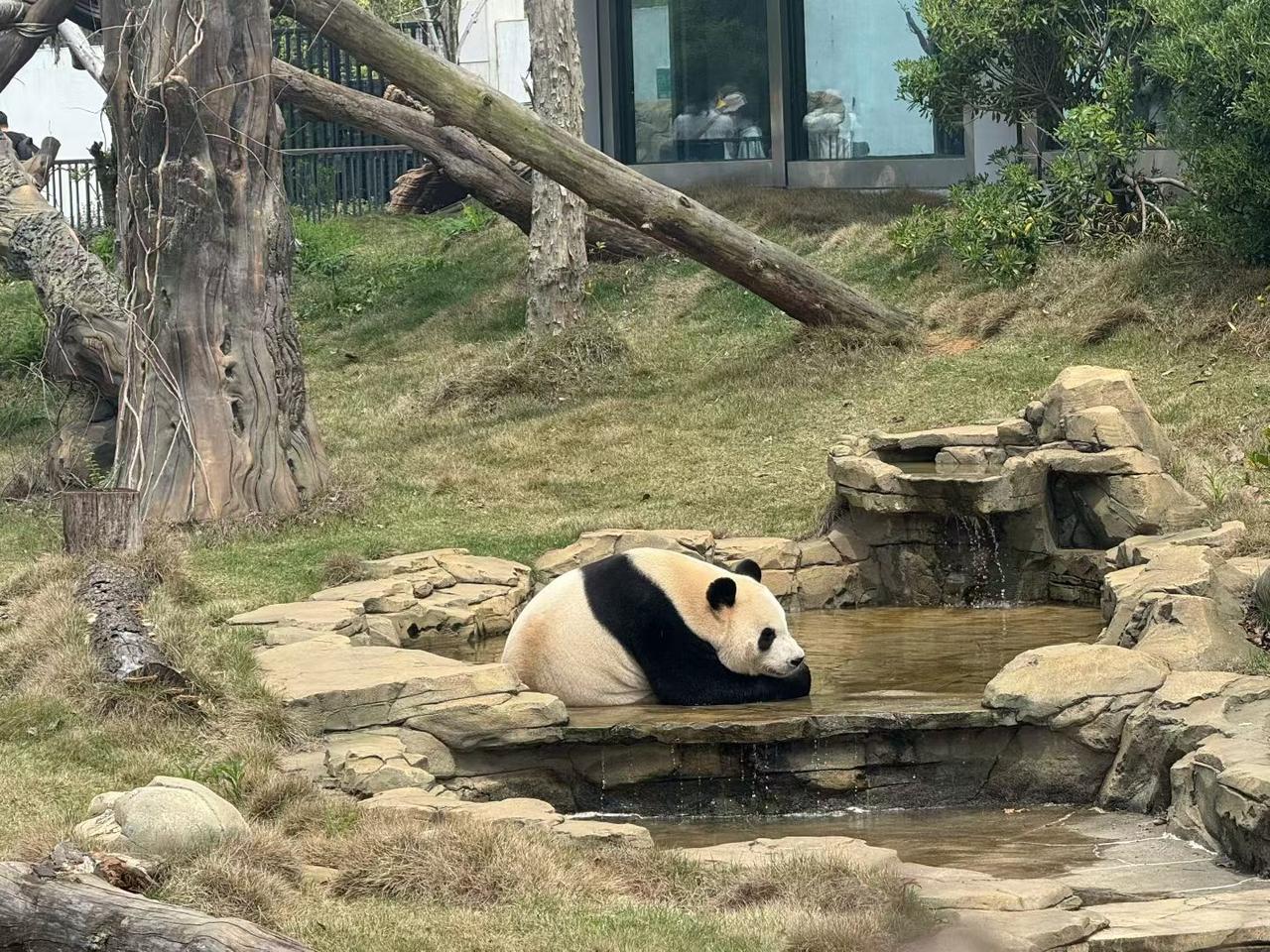 站桩必须常态化
    站桩锻炼对我们的身体有很大的好处，这不容置疑，但是把站桩