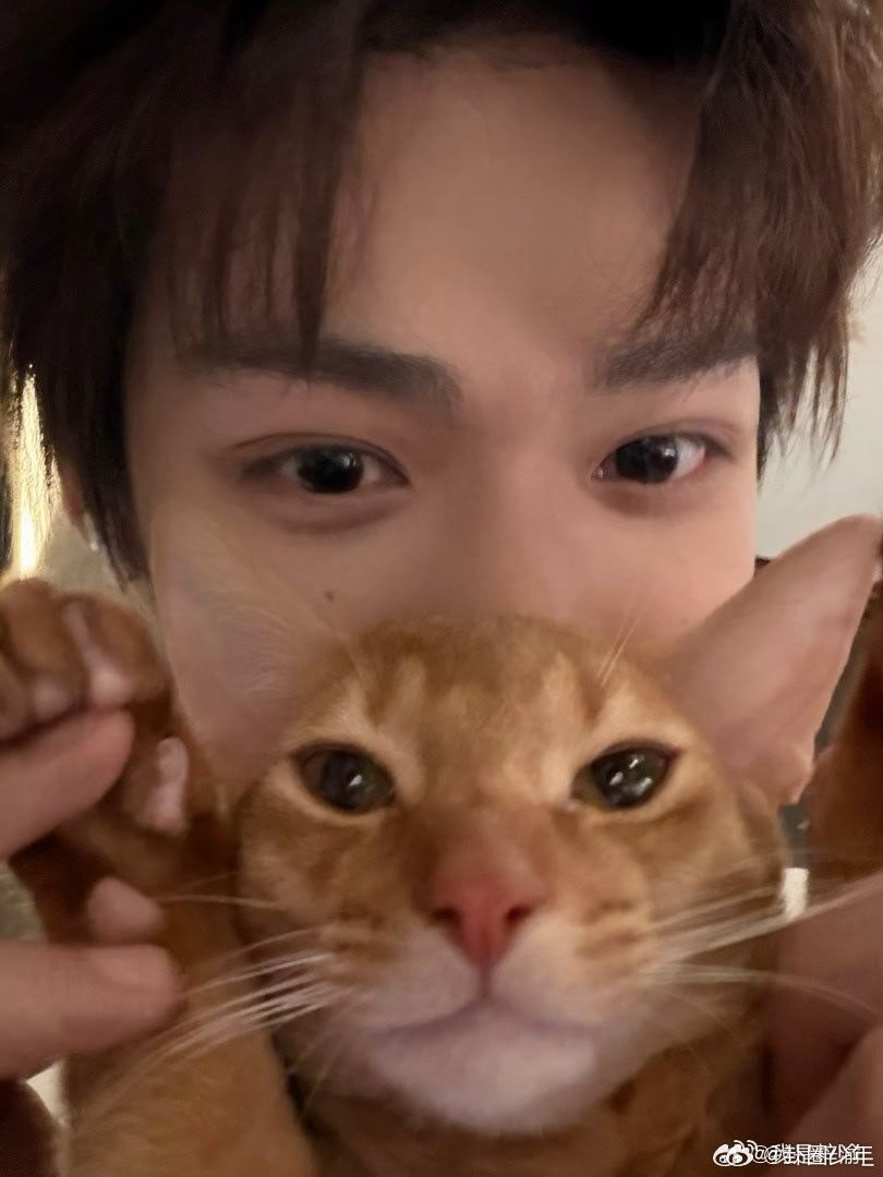 梓渝分享和大鱼小十一合照梓渝与大鱼、小十一同框，画面干净又治愈 