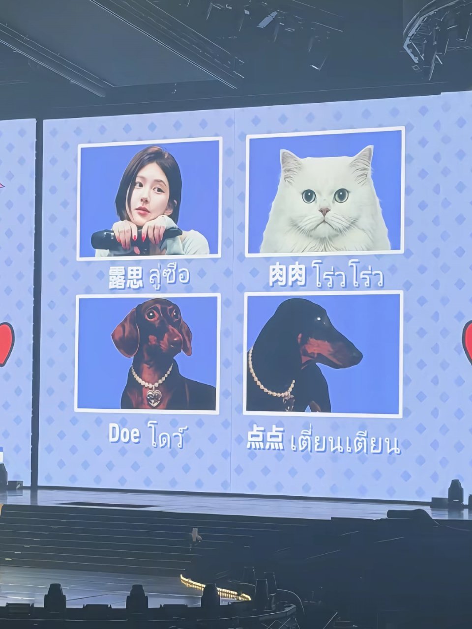 哎哟！好可爱呀！ 