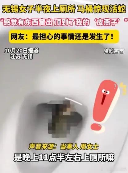 江苏一女子半夜上厕所，突然感觉下面有东西伸出来，顶到了屁股，女子还以为是纸巾，结