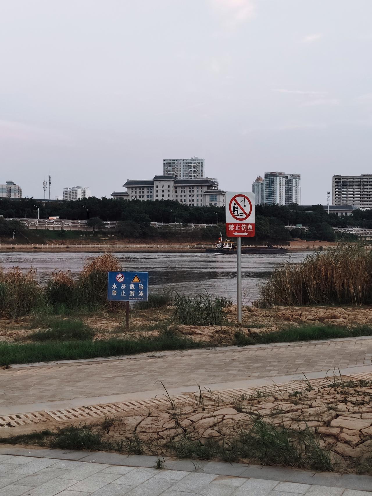 洪水退去的江边，满是裂缝，但裂缝中已逐渐冒出新芽，伤痕之上，自有生机，日子是慢慢