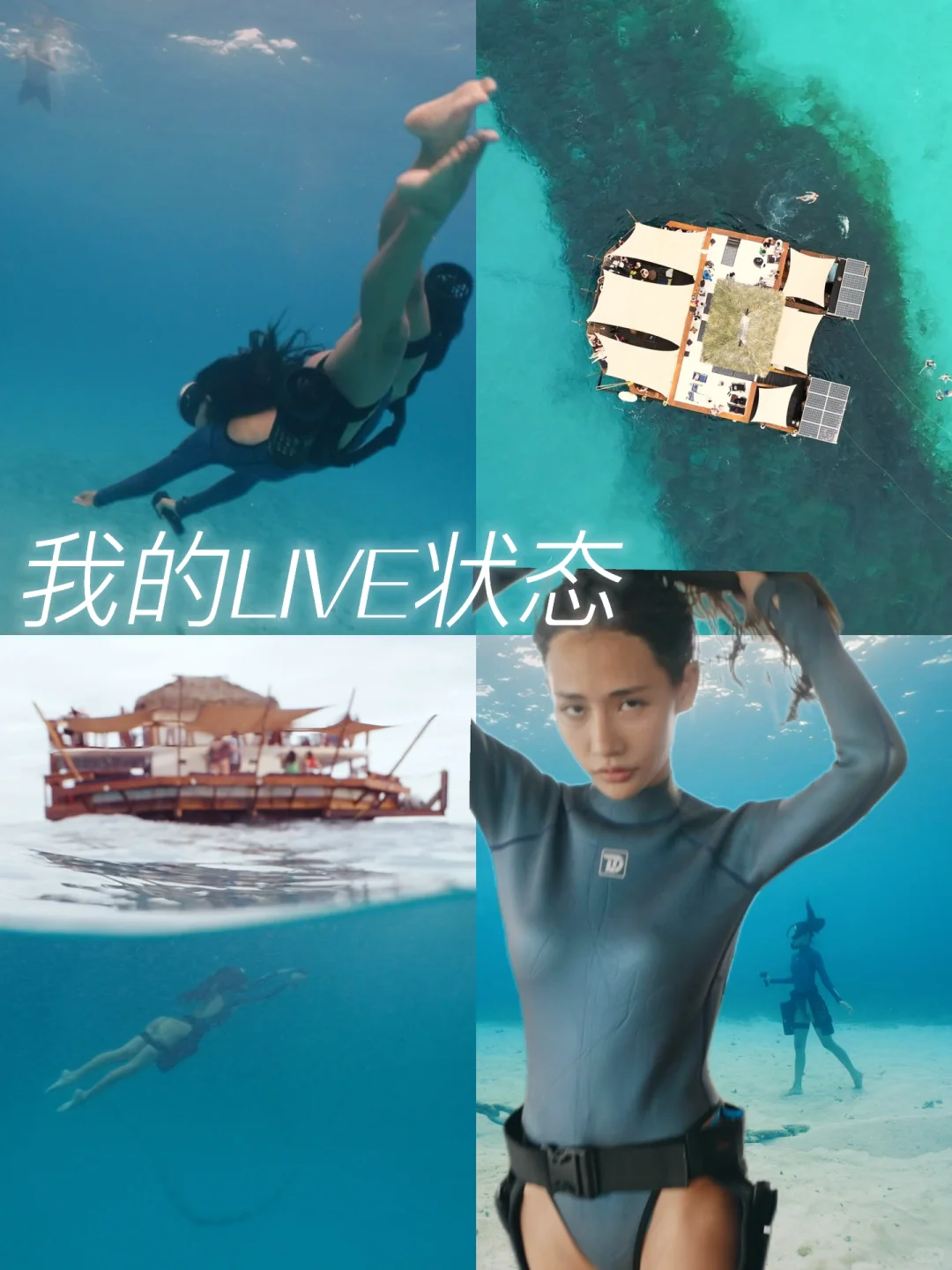 LIVE实况让我沉醉在斐济的每一刻 🌊✨