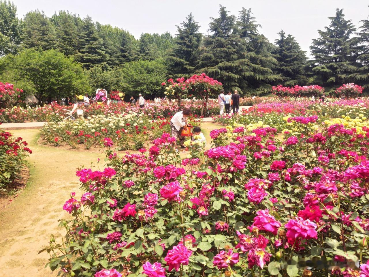 上联：风起风息风未语；诚邀下联上联:风起风息风未语；下联:花开花落花有情。