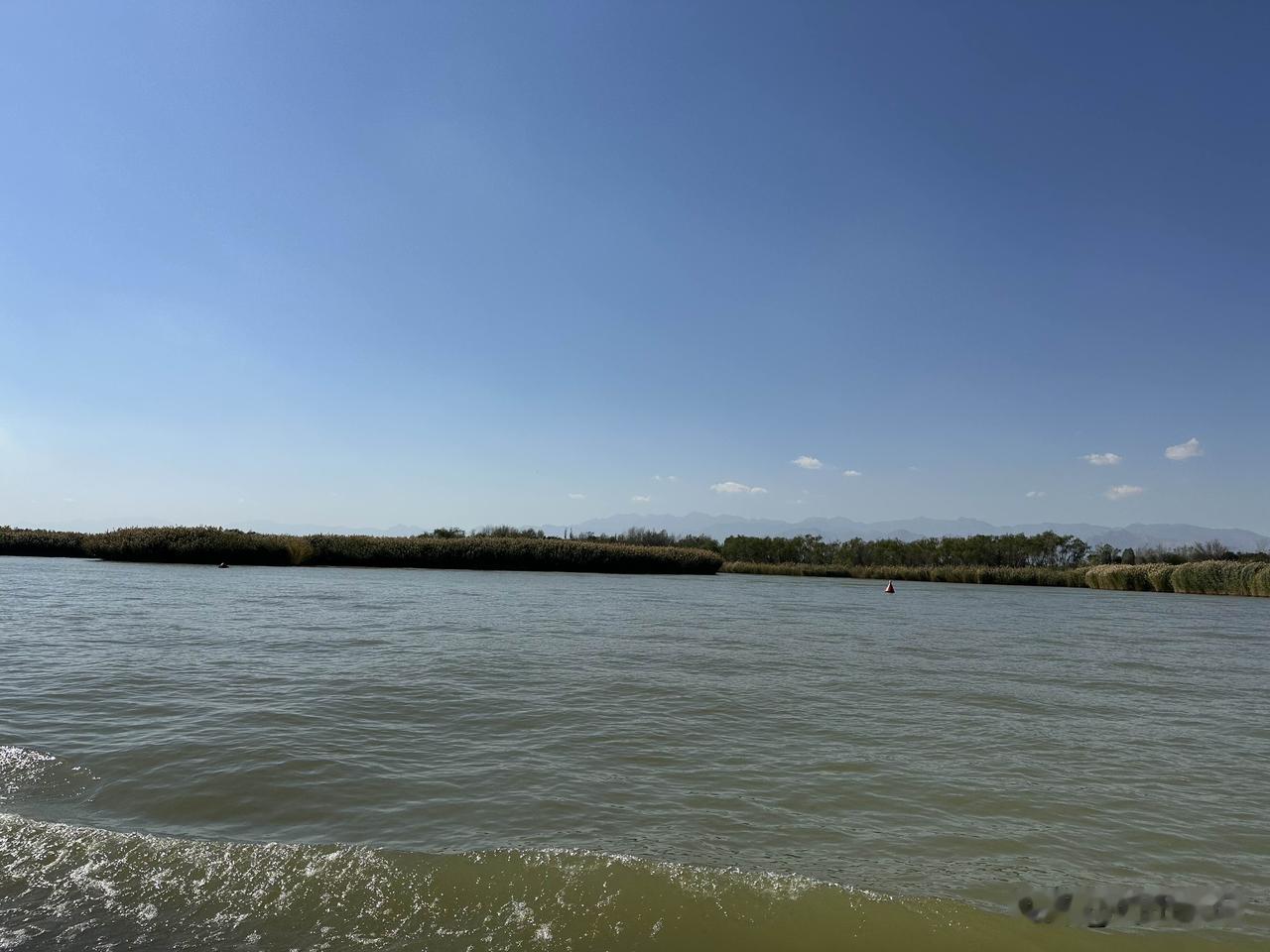 有人在湖中浪遏飞舟，一群大雁翩跹伴飞，实在是拉风，让我等坐在大船上的人只有艳羡的