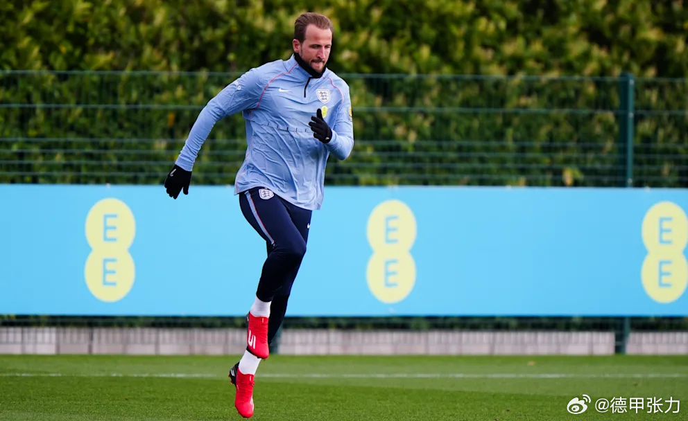 凯恩因伤没有参加和日本的热身赛，训练只进行了15分钟就结束。英足总解释说是凯恩休