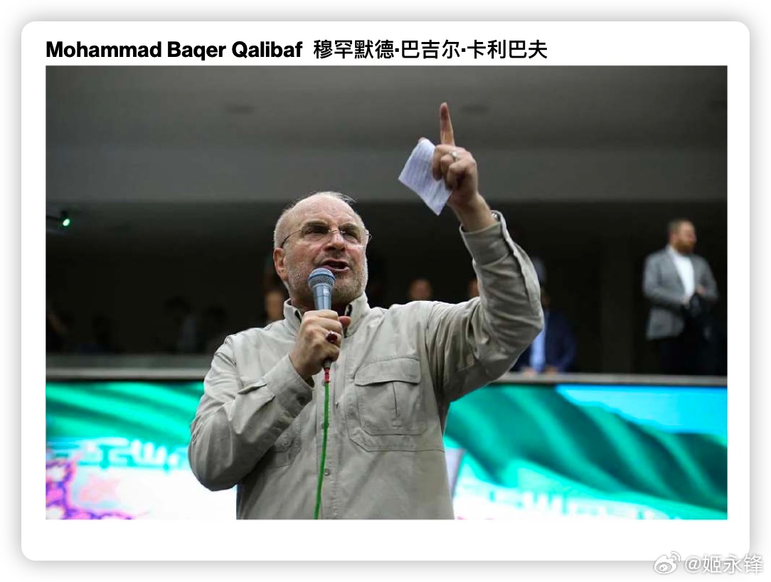 穆罕默德•巴吉尔•卡利巴夫 是谁？↓图职位：议会议长政治倾向：保守派卡利巴夫在议