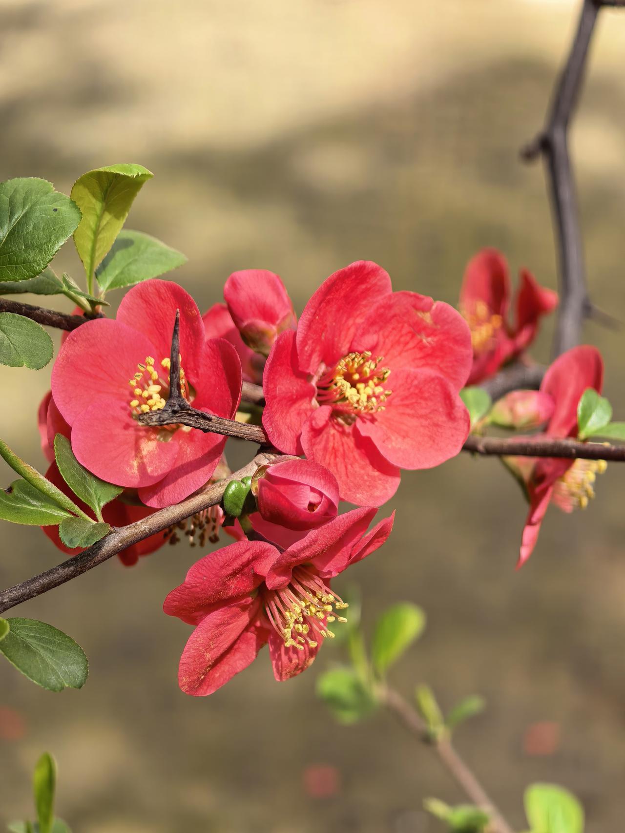 雨停了，一切都亮了！