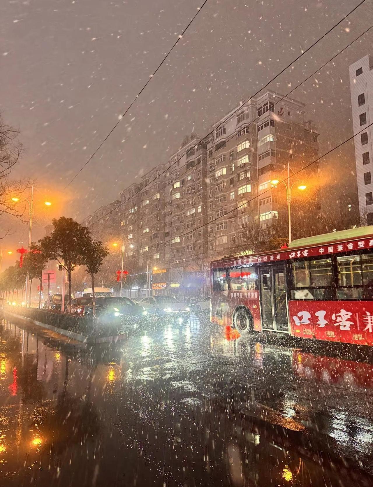 2026年2月15日周口大雪！距离大年还有一天真是瑞雪照丰年！