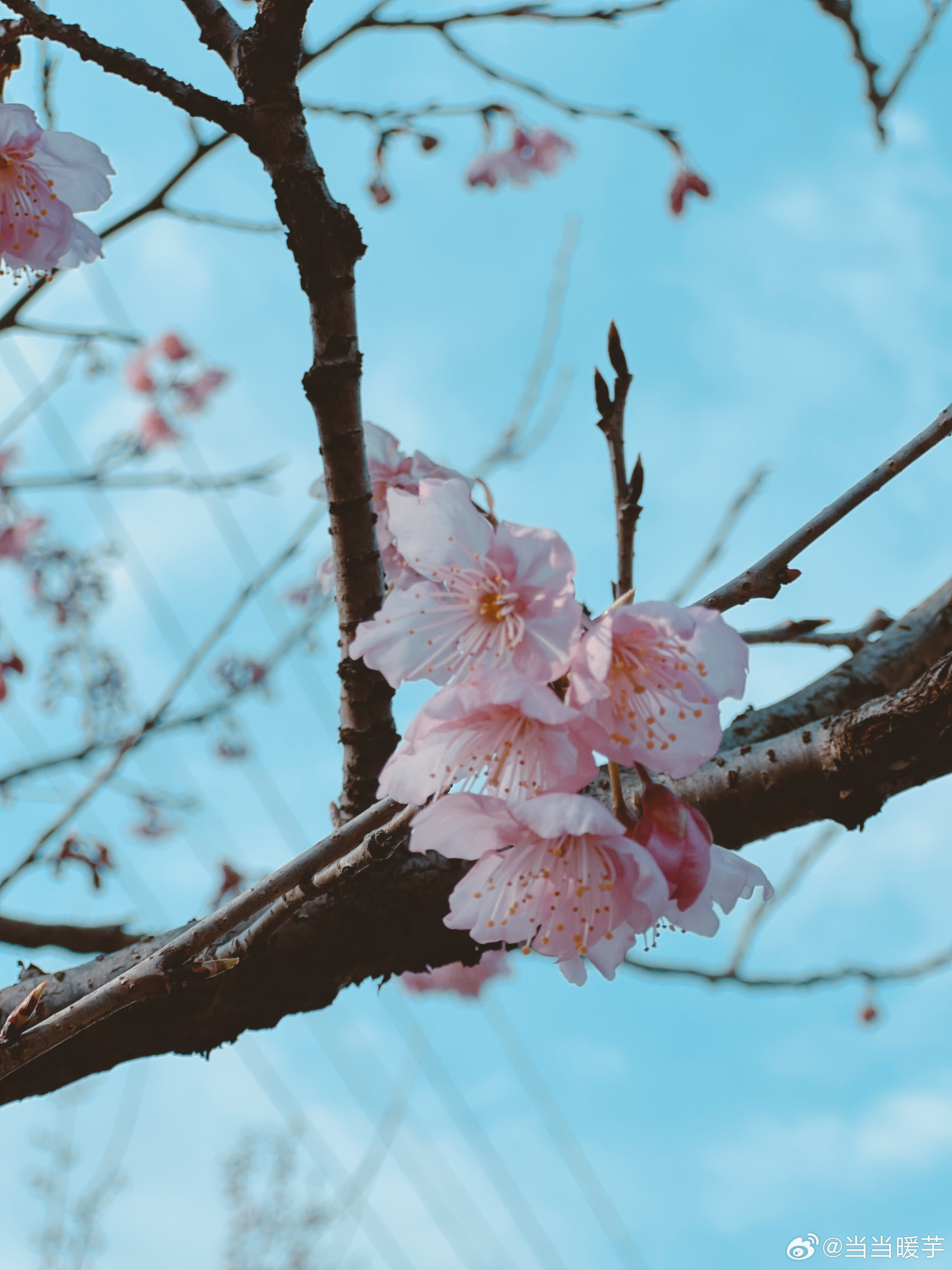 宋雨琦官宣入职乐事！春日快乐全被承包3月9日准时蹲到好消息！元气少女宋雨琦正式入