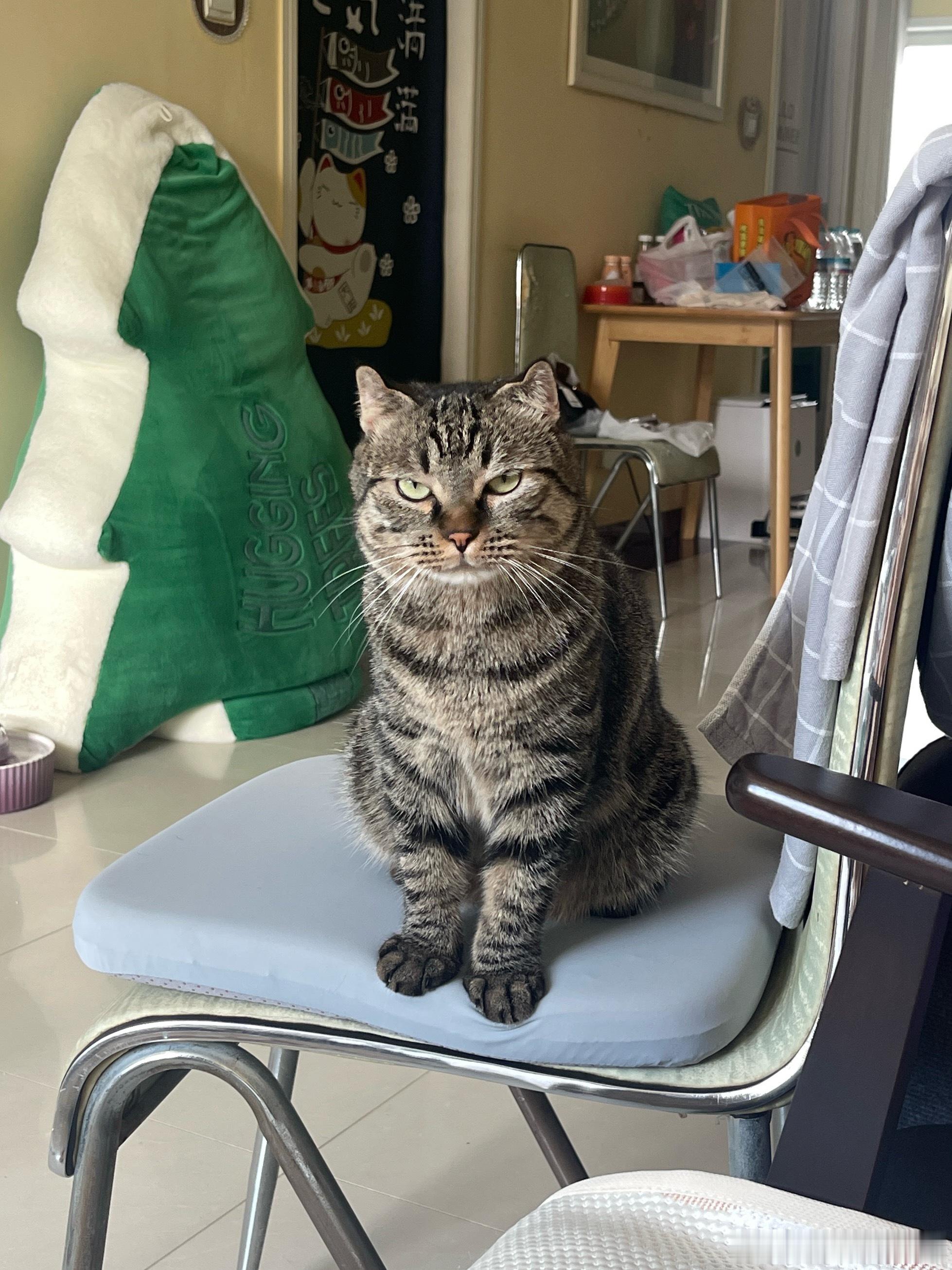 起床后一直没喂肉肉吃小勺子，肉肉就这样盯着妈妈，走哪盯哪 