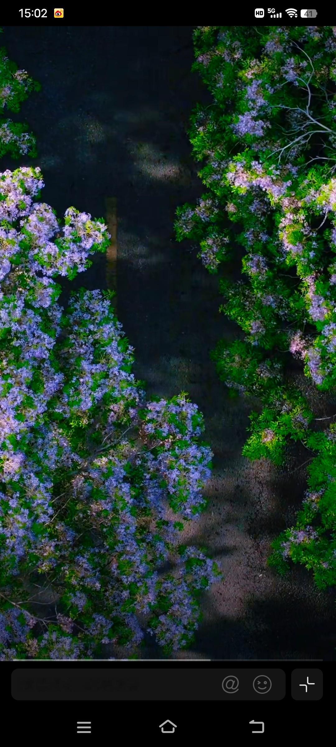 西安南马道巷苦楝花进入盛花期不用刻意找花海，南马道巷路边的苦楝树就够香，天然植物