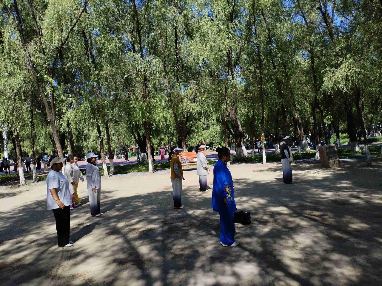 我的今日状态：😁轻松愉快
我这里的天气：☀️晴天
   这里是黑龙江省肇东市人