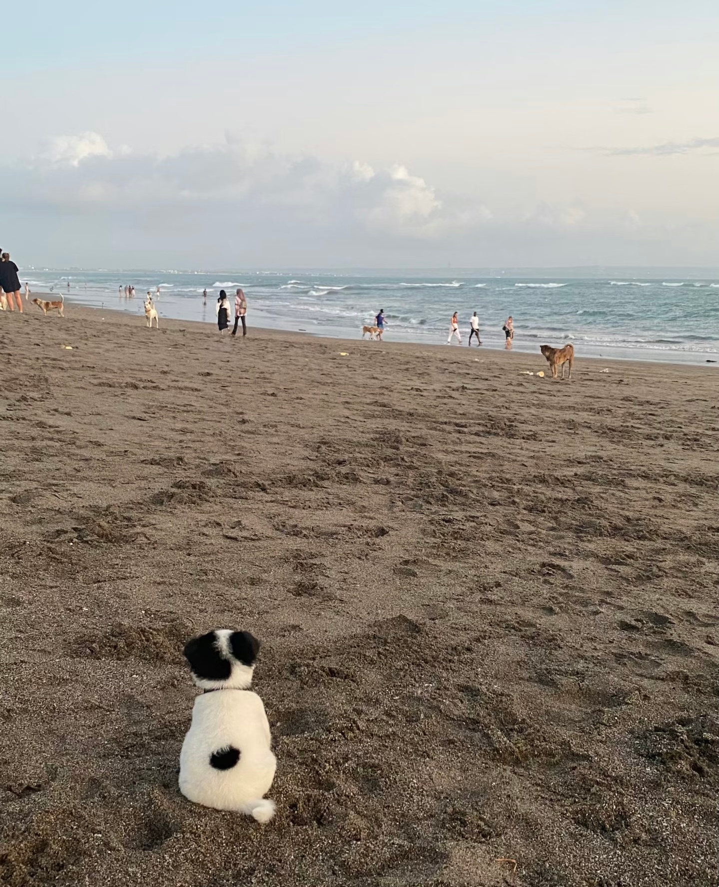 人，今天我去看海啦🐾 ​​​