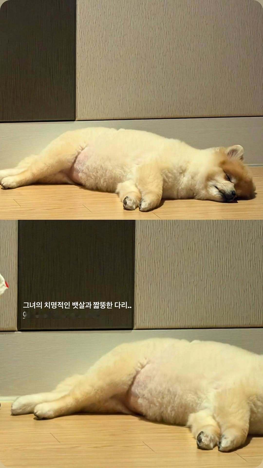“CB百蓝_。260616金厉旭 ins story更新：她那致命的肚腩和短胖的