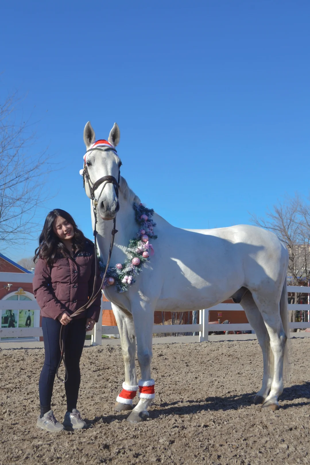 🎀𝑪𝒉𝒓𝒊𝒔𝒕𝒎𝒂𝒔 𝒘𝒊𝒕𝒉 𝑩𝑳𝑼𝑬