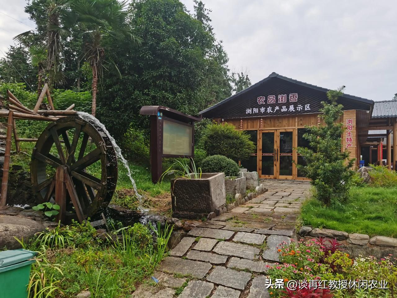 梅田湖营村是如何旅游兴村，壮大集体经济的？
乡村旅游如何调动农民参与的积极性，如