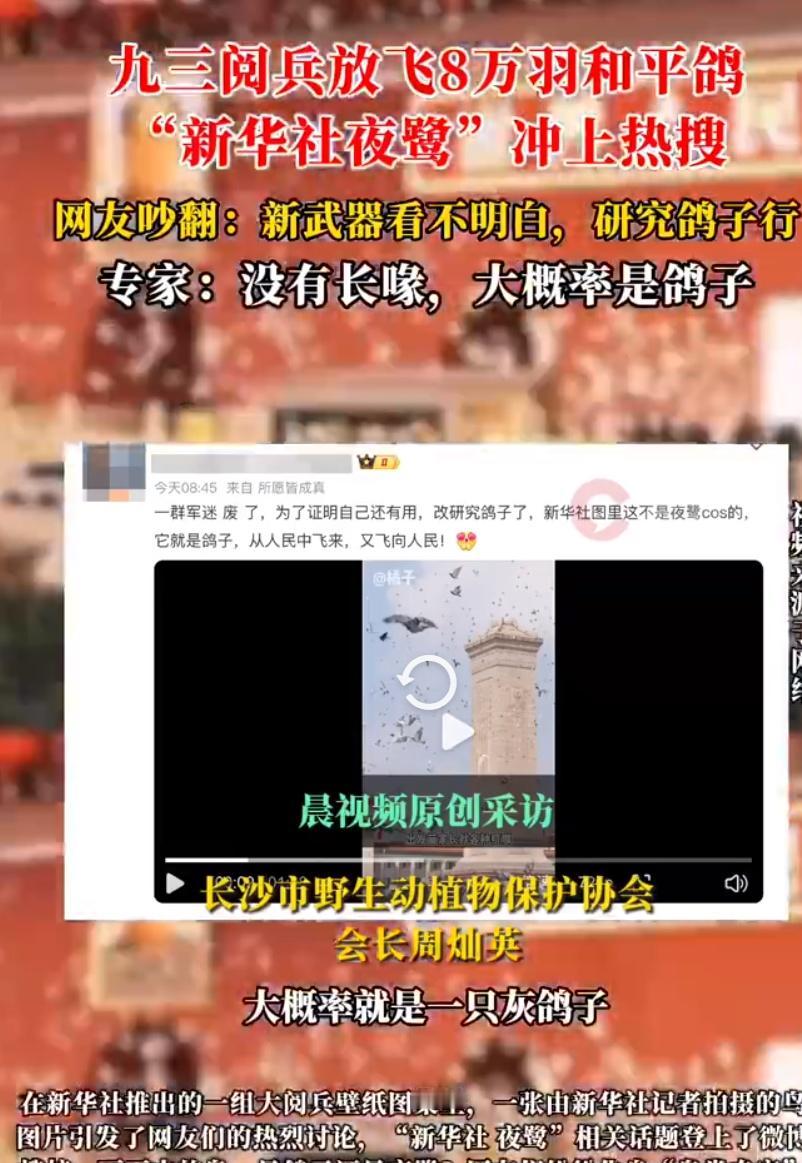 确认了！新华社拍到的是胖鸽子

九三阅兵放飞和平鸽时，一张照片突然火了。网友们眼