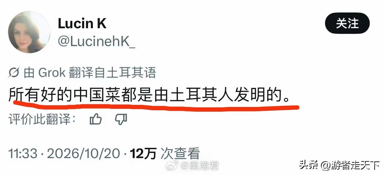 这个土耳其人太有点自以为是了，众所周知，中国菜主要构成就是中原菜系。
土耳其人虽