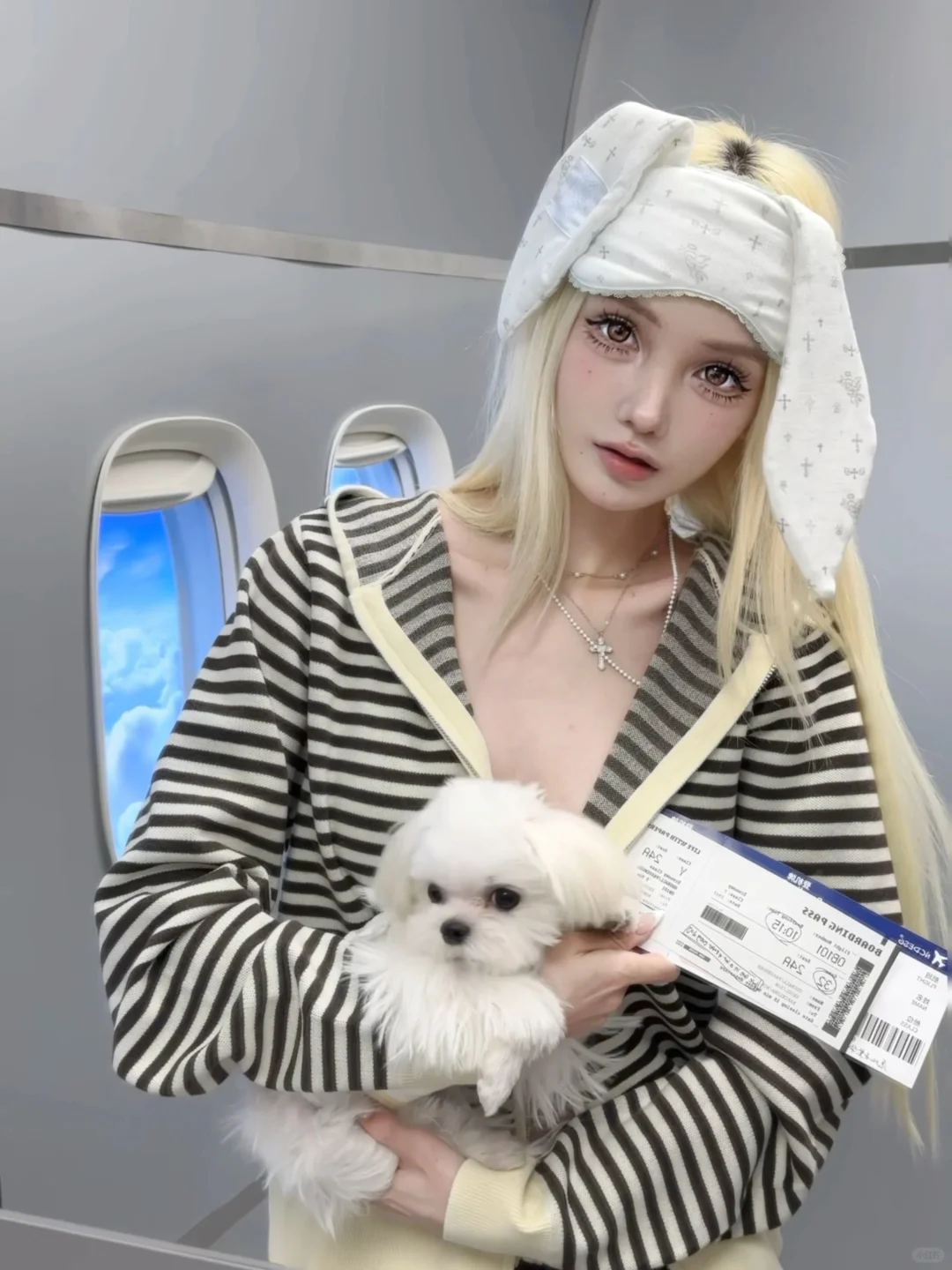✈️ 带着小狗坐飞机噜（bushi