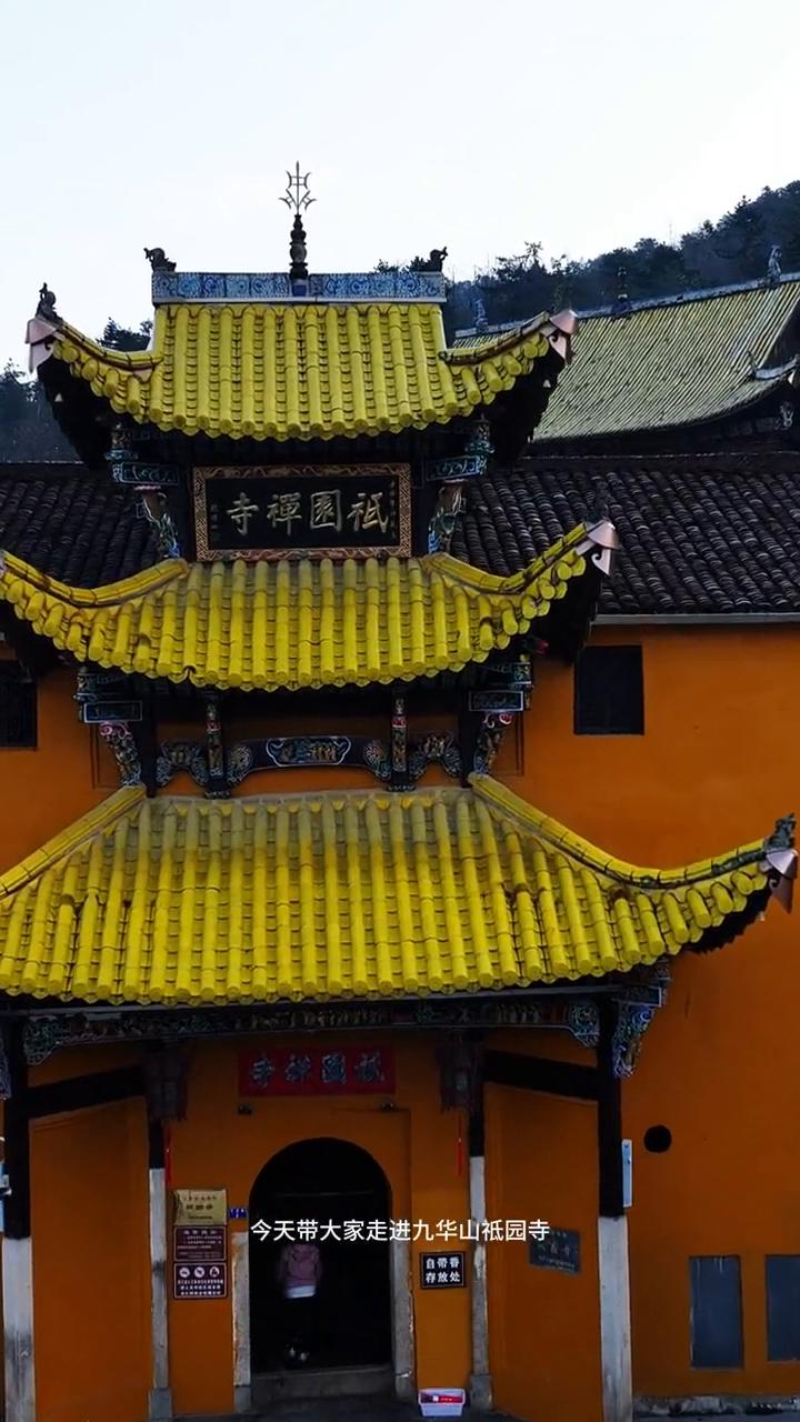 大家好，今天带大家走进九华山祗园寺。祗园寺位于九华山核心景区，始建于唐代，是九华