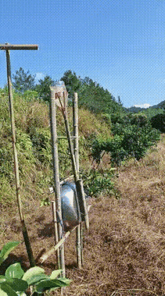 这就是劳动人民的智慧创造的永动机～