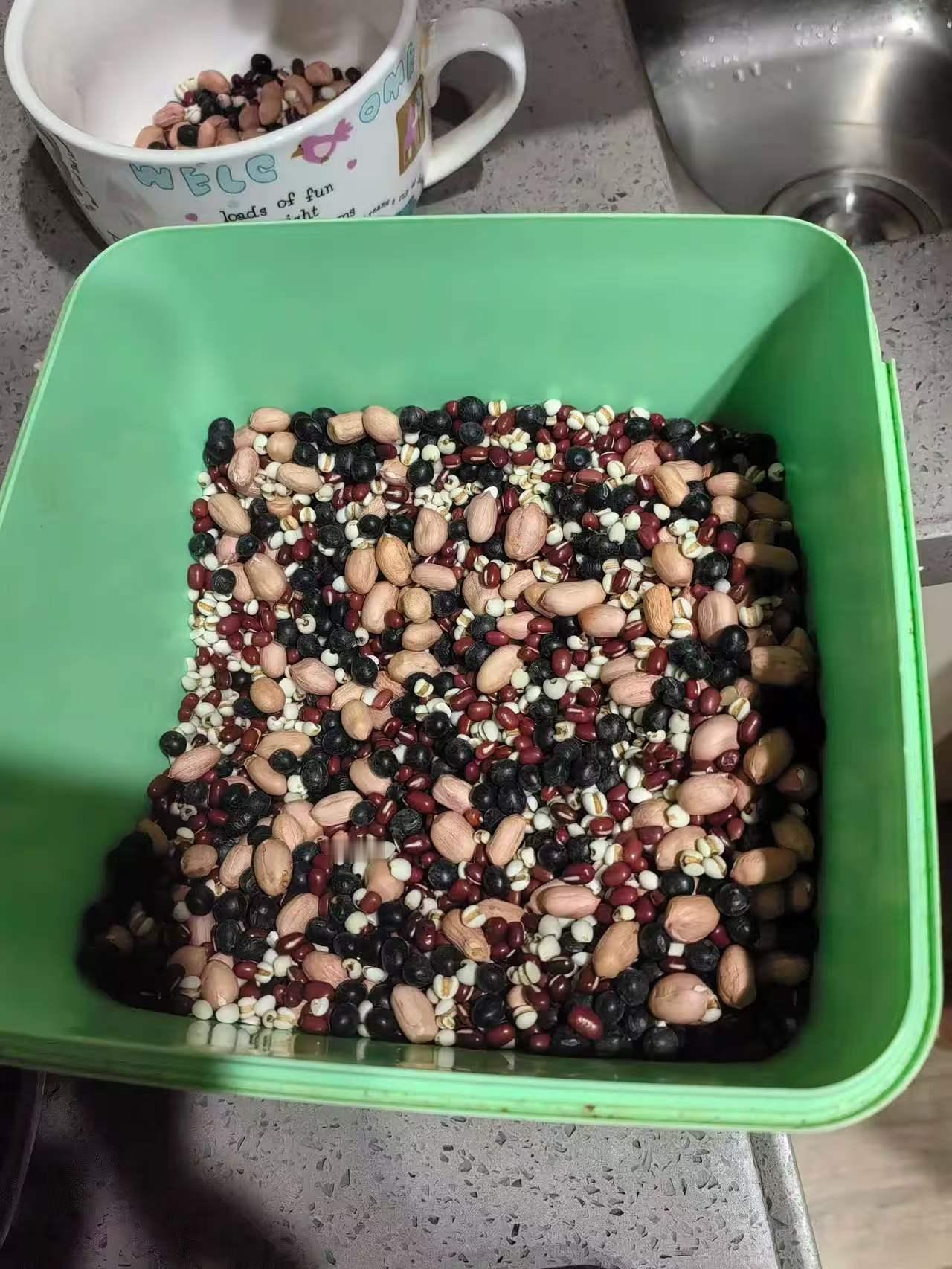 分享下：黑木耳+豆类打浆，我的日常养生小搭配。
 
最近一直这么喝，身体感觉很舒