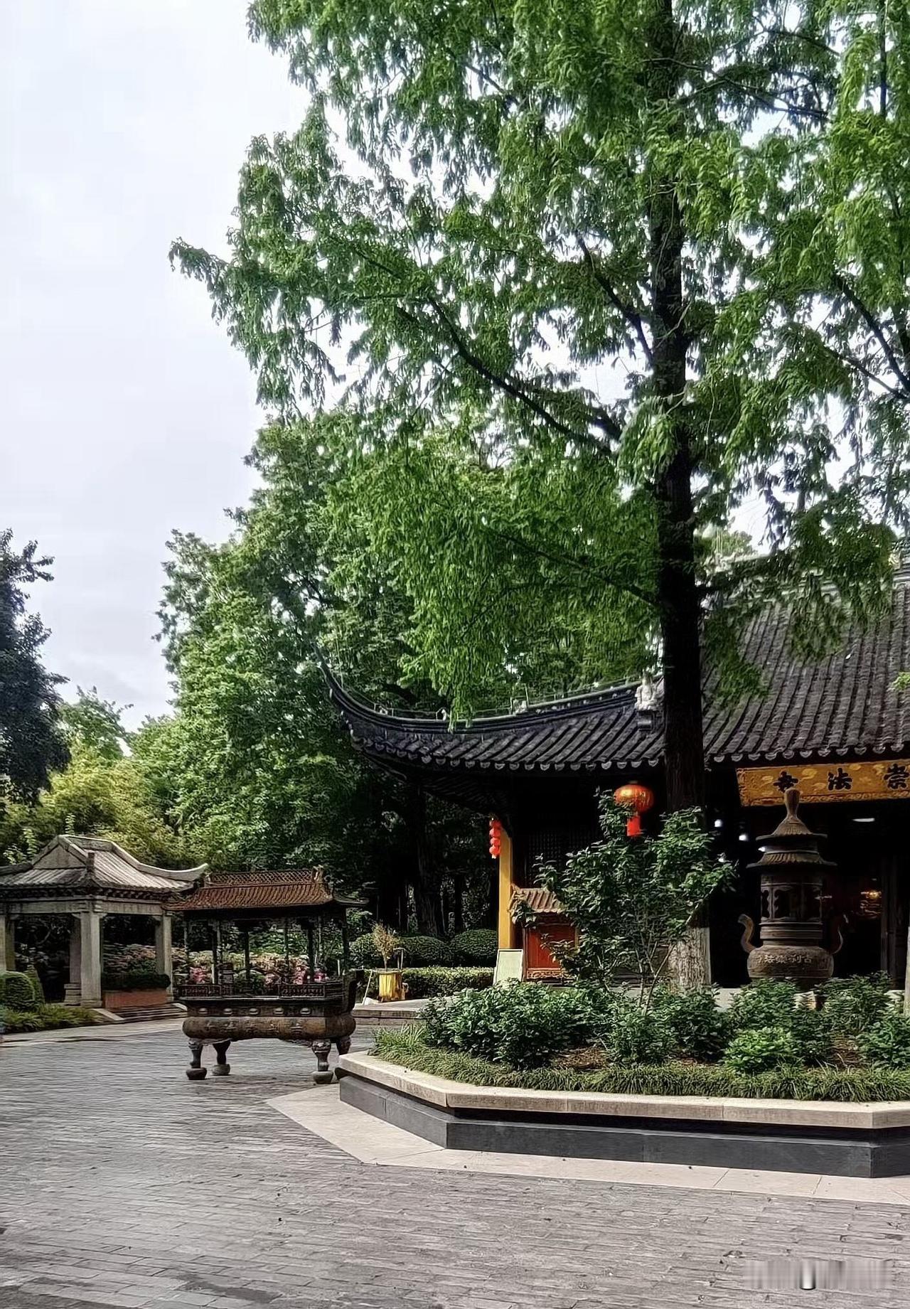 常州人民公园是常州最老牌、最有底蕴的城市老公园，是常州人重要的公共活动空间和情感
