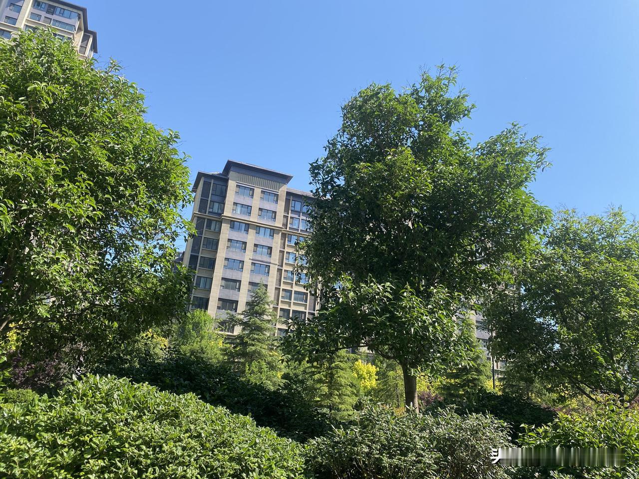 真心话茶局阳光洒满的现代住宅区，绿树成荫，清新宜人。